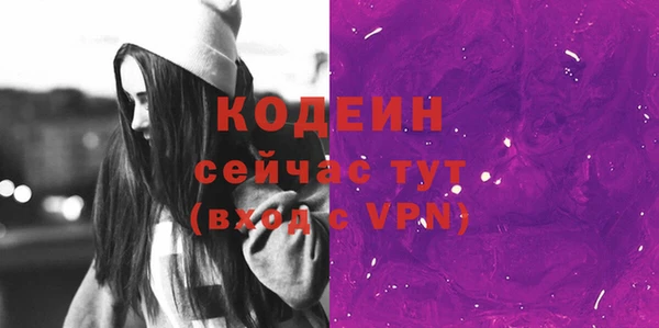 гидра Туринск
