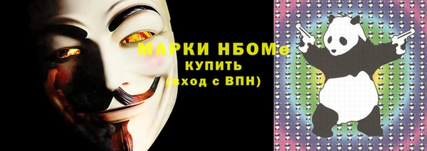 дживик Тында