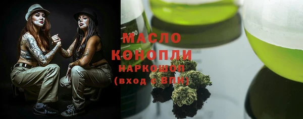 гидра Туринск
