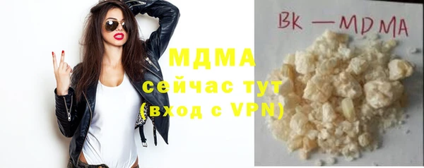 гидра Туринск