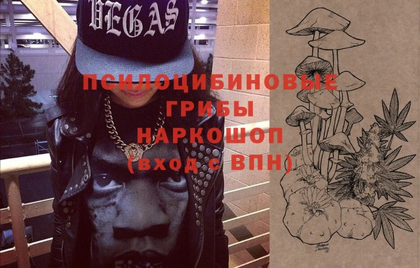 дживик Тында