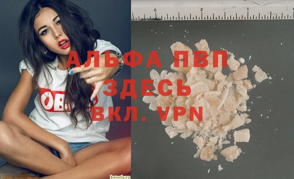 дживик Тында