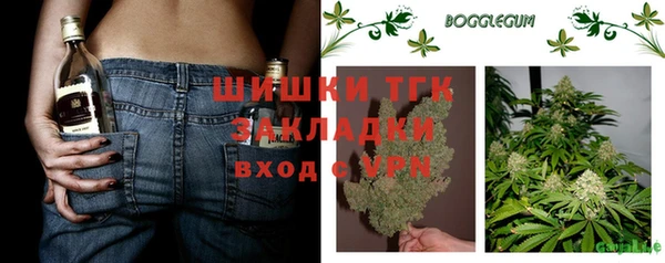 гидра Туринск