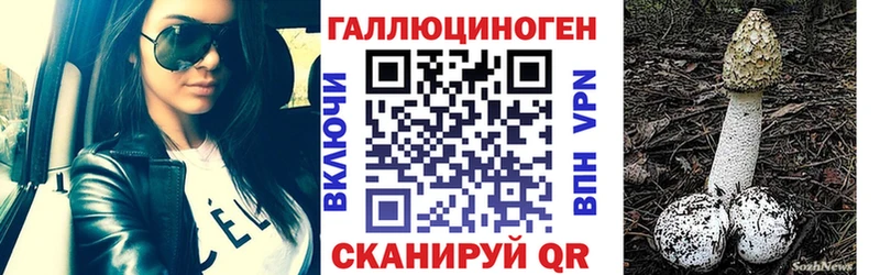 Псилоцибиновые грибы Cubensis  Бобров 